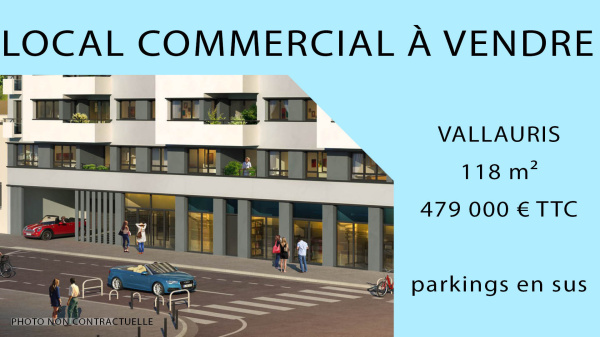 Vente Immobilier Professionnel Local commercial Vallauris 06220