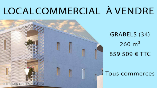 Vente Immobilier Professionnel Local commercial Grabels 34790