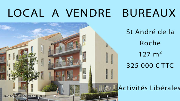 Vente Immobilier Professionnel Local commercial Saint-André-de-la-Roche 06730
